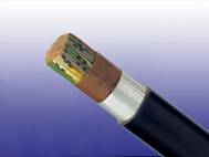 image of Foam Skin Insulated LAP Sheathed Air Core/Jelly Filled Cables to DIN VDE 0816